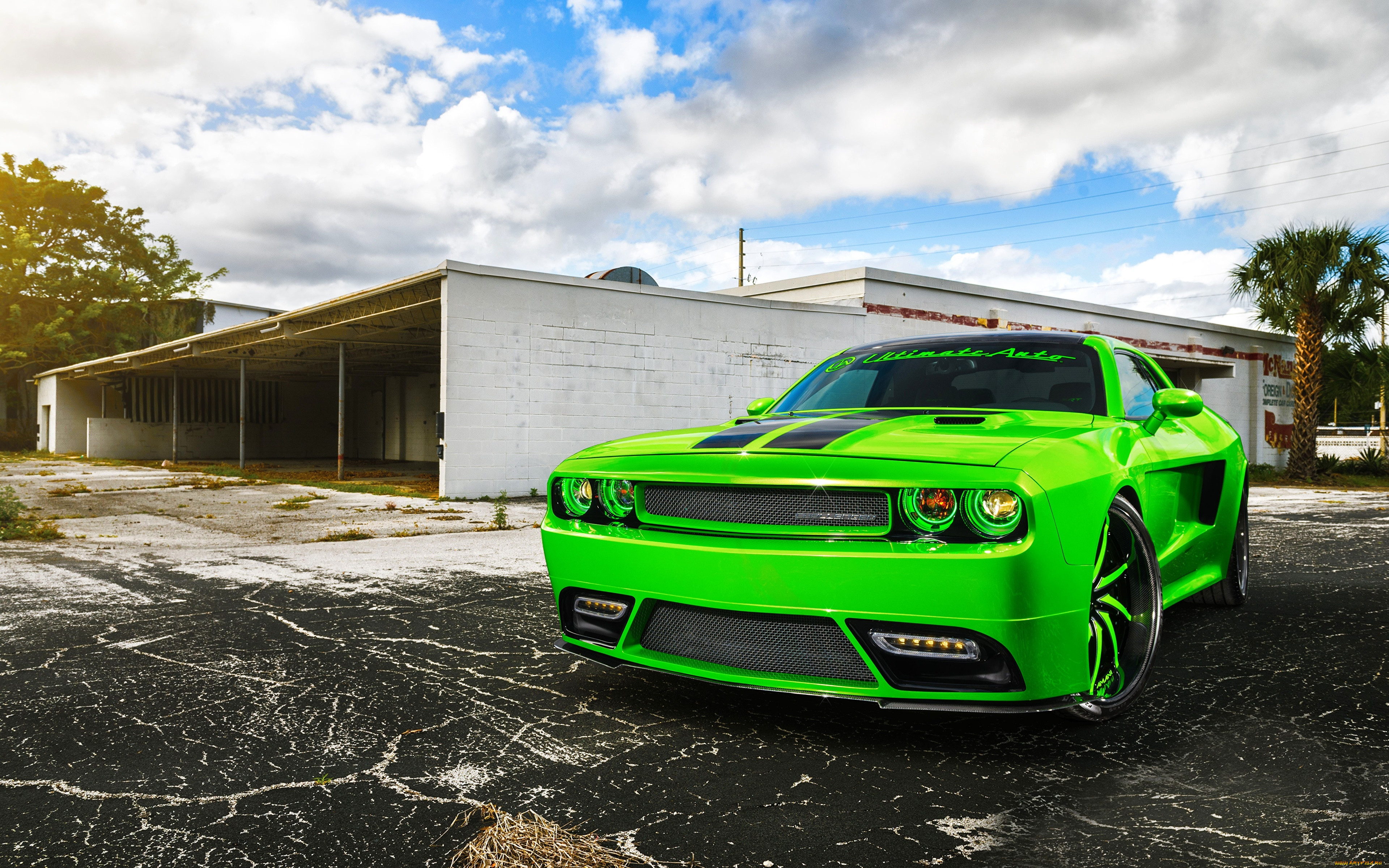 dodge challenger, , dodge, challenger, , , , , , 